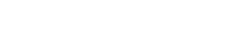OrangeTwist Logo